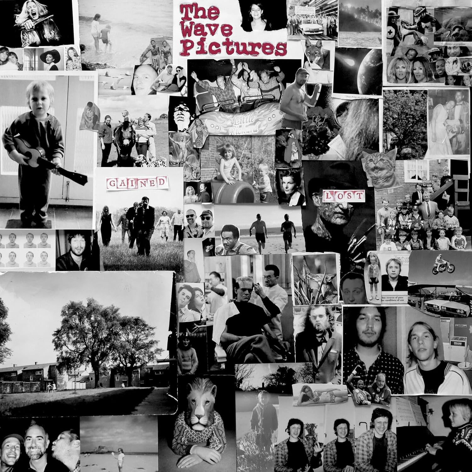 The Wave Pictures - Gained Lost